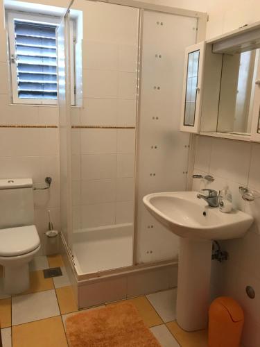 a bathroom with a sink and a shower and a toilet at Apartmani Vilma Pakoštane in Pakoštane