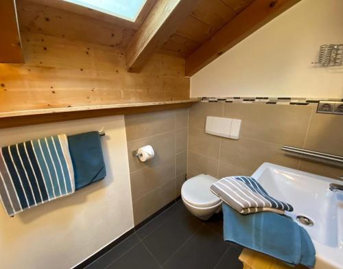 een badkamer met een toilet en een wastafel bij Haus Hager in Schneizlreuth