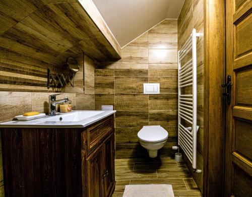 een badkamer met een wastafel en een toilet bij Holiday Home Banská Štiavnica in Banská Štiavnica