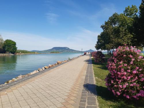 a path next to a body of water with flowers at Balaton Holiday in Fonyód