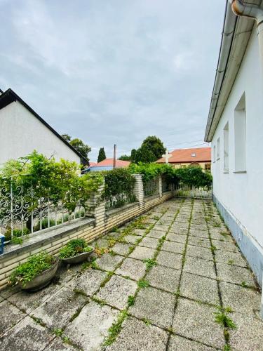 a courtyard of a house with some plants at B&B Chardas in Bük