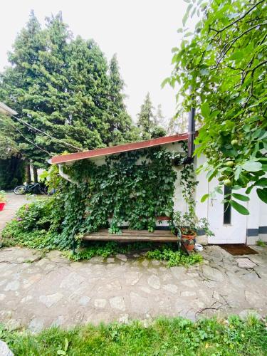 a bench covered in ivy next to a building at B&B Chardas in Bük