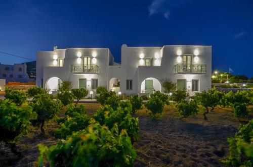 a large white house with a bunch of grapes at Lianos Village in Agios Prokopios