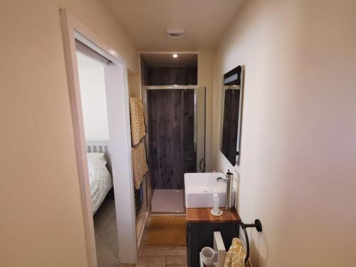 een kleine badkamer met een wastafel en een douche bij The Garden Room in Leiston
