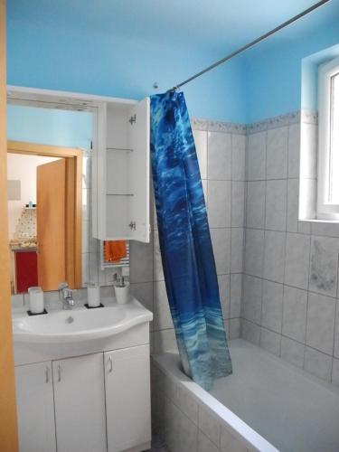 Baño con cortina de ducha azul junto a un lavabo en Apartment to explore Vienna and self-supply, en Viena