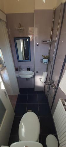 a small bathroom with a toilet and a sink at Le Grand Bleu in Sitia