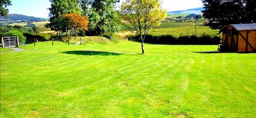 a field of green grass with a tree and a shed at pen-rhos luxury glamping "The Hare Hut" in Llandrindod Wells