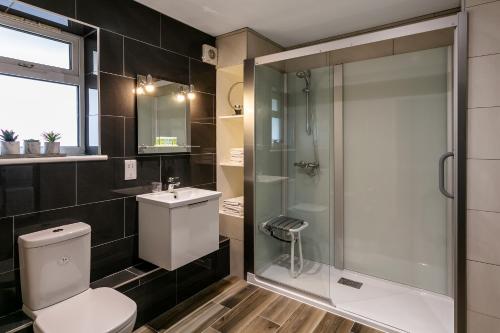 y baño con ducha, aseo y lavamanos. en Roydon Marina Village Hotel en Roydon