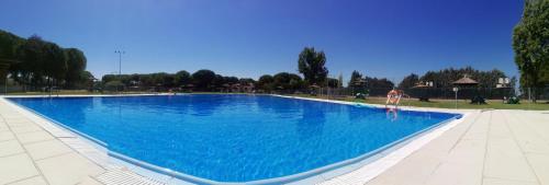 a large pool with blue water in a park at La Dama Boba in Olmedo