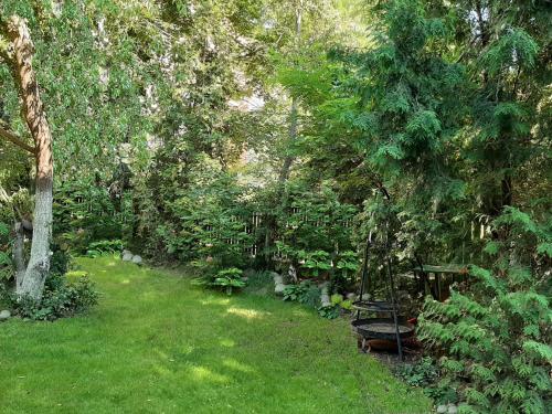 a garden with a bench and trees and grass at Akacja Pokoje Gościnne in Kraków