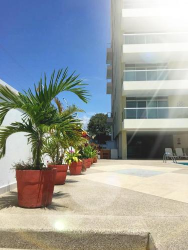 a row of potted plants inront of a building at Discoverequador in Tonsupa