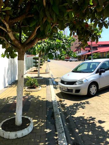 a white car parked next to a tree on a street at Discoverequador in Tonsupa