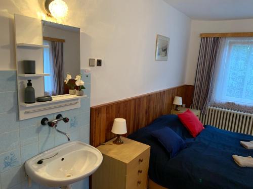 a bedroom with a bed and a sink at Penzion Zelené Údolí in Janske Lazne