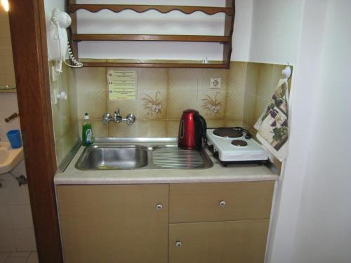 a small kitchen with a sink and a toaster at Eleftheria Lindian Studios I in Lindos