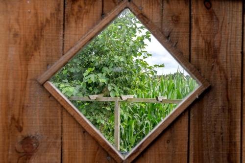 a mirror hanging on a wooden wall with plants at Celebration Wellnesshuisje in Balkbrug