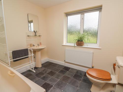 un baño con inodoro y lavabo en Pheasant Wood, en Llandrindod Wells
