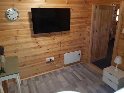 TV a/nebo společenská místnost v ubytování Cabin at Aithernie