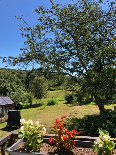 a view of a garden with flowers and a tree at CAMPAGNE ET MER in Saâne-Saint-Just