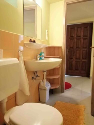 a bathroom with a sink and a toilet and a mirror at Szőlősi Diófa Vendégház in Balatonszőlős