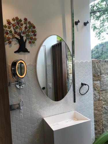 a bathroom with a mirror and a sink at Areca Glamping SPA in Anapoima