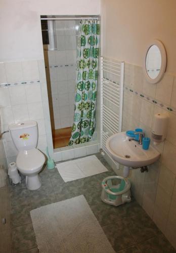 a bathroom with a toilet and a sink and a shower at Villa Victoria Penzion in Liptovský Ján