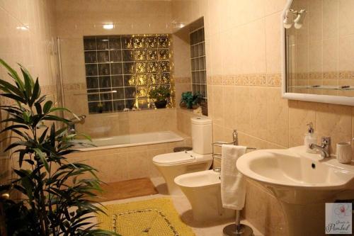 a bathroom with a toilet and a sink and a tub at Quinta do Pombal Douro in Penajoia
