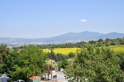 a view of a road with trees and mountains in the background at Four Seasons Hotel in Trílofon