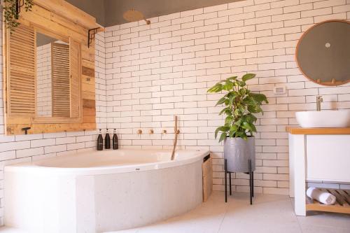 ein Badezimmer mit einer Badewanne und einer Topfpflanze in der Unterkunft Zimeroni in Zichron Ja’akow