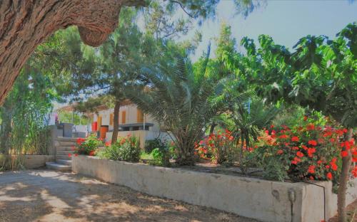 a garden with flowers and trees and a building at Santorini Camping & Hostel in Fira