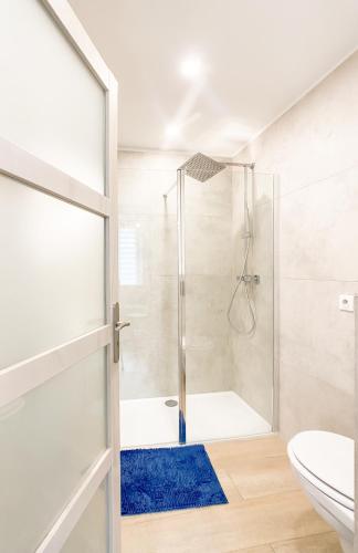 La salle de bains est pourvue d'une douche et d'un tapis bleu. dans l'établissement The downtown cosy apartments, à Colmar