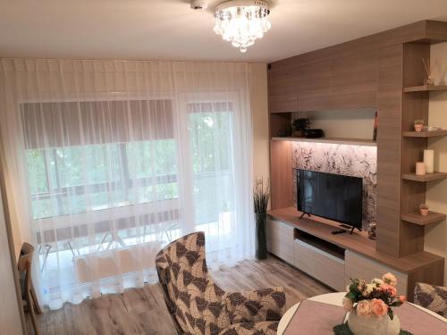 salon z dużym oknem i telewizorem w obiekcie Apartment by the Linden trees w Wilnie