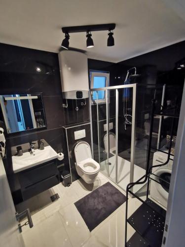 a bathroom with a toilet and a sink at Accommodation Mala Plaža in Podaca