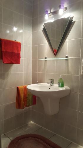 ein Bad mit einem Waschbecken und einem Spiegel in der Unterkunft Ferienwohnung Seeburger See in Seeburg