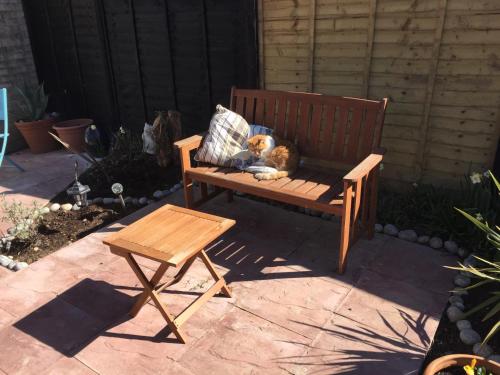 a dog sitting on a bench with a pillow at Basingstoke En Suite Room in Garden Annex in Basingstoke