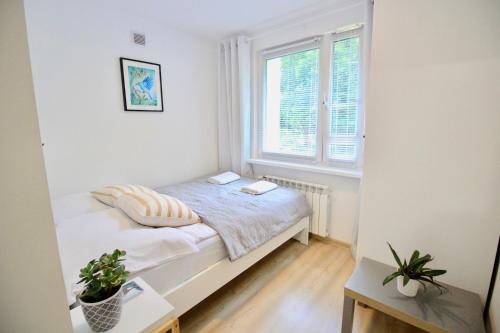 Posteľ alebo postele v izbe v ubytovaní Apartment BazaTatry Parkowy