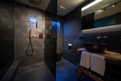 een badkamer met een wastafel en een douche bij Der Löwe in Burgberg