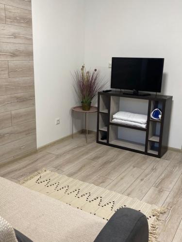 sala de estar con TV de pantalla plana en un soporte en Затишні апартаменти подобово,центр, en Ternopilʼ