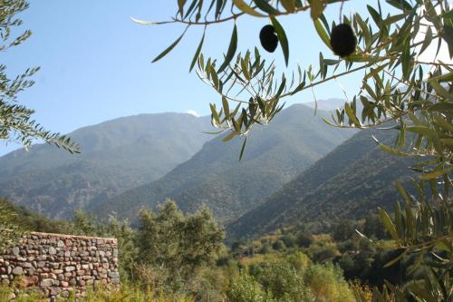 a view of mountains with a stone wall and trees at Kasbah Africa - High Atlas Dark Sky & Nature Lodge in Ouirgane