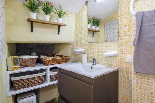 baño con lavabo y algunas plantas en la pared en Casa Amparo en Icod de los Vinos