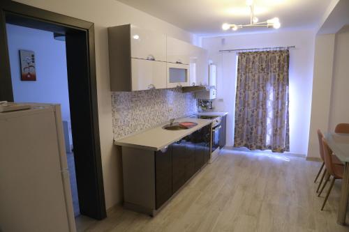 Dapur atau dapur kecil di Ansamblul rezidential Phoenix
