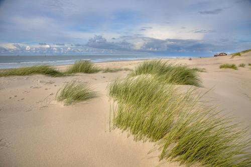 a beach with tall grass in the sand and the ocean at Fletcher Strandhotel Haamstede in Burgh Haamstede