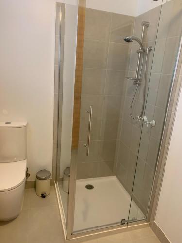 a shower with a glass door in a bathroom at Port Campbell Parkview Motel & Apartments in Port Campbell
