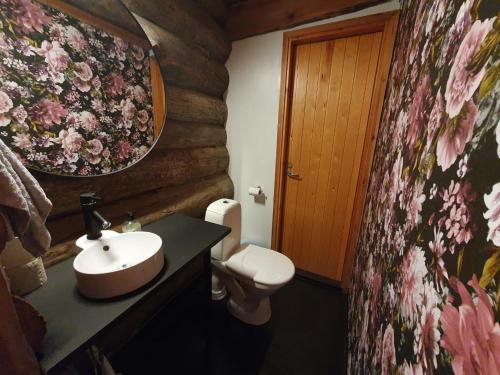 a bathroom with a sink and a toilet at Riihitulkku Lodge in Muurame