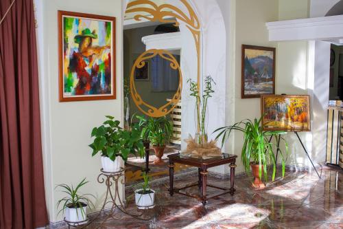 a room with potted plants and a mirror at Astoria Lux in Dnipro