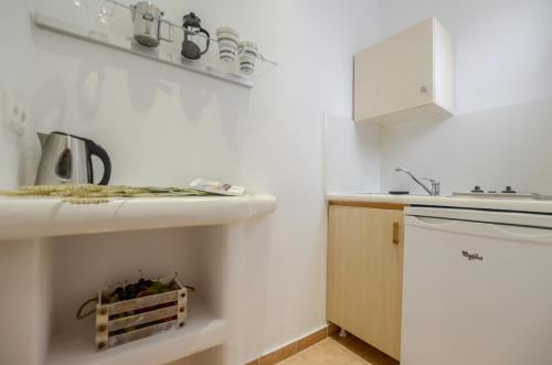 A kitchen or kitchenette at Panormos Hotel and Studios