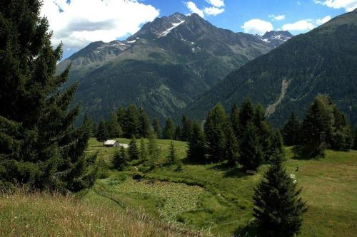 a field with trees and mountains in the background at Haus Birgit in Pettneu am Arlberg