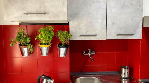 una cucina rossa con piante in vaso sul muro di La casa colorata a Città di Castello