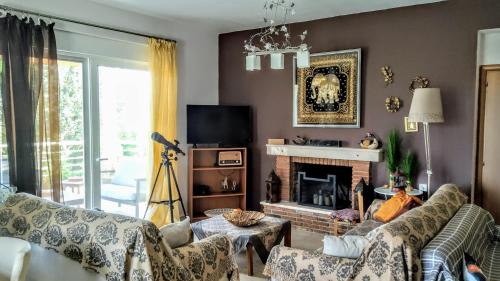 sala de estar con sofá y chimenea en Kassandra Villa Nafplio, en Asíni