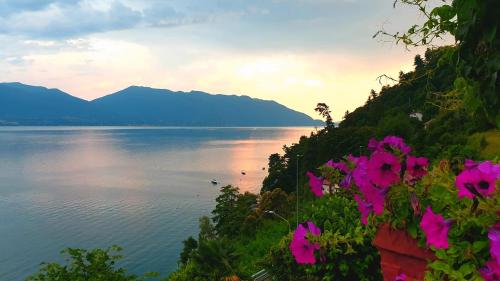 a view of a body of water with pink flowers at Hotel La Rondinella in Cannero Riviera
