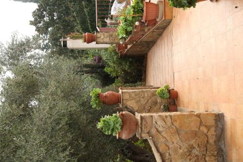 a building with potted plants on the side of it at B&B Villa Casablanca in Enna
